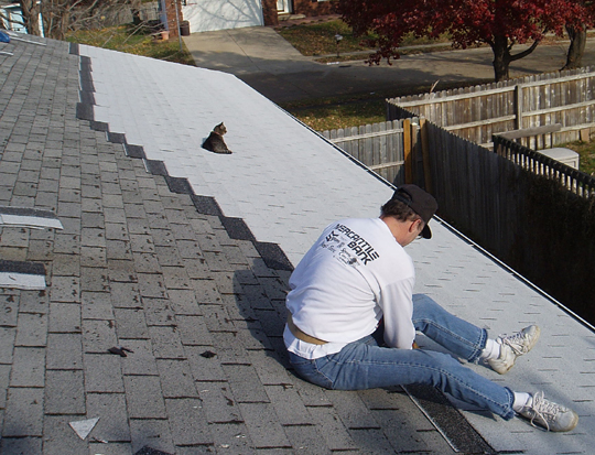 roof 4